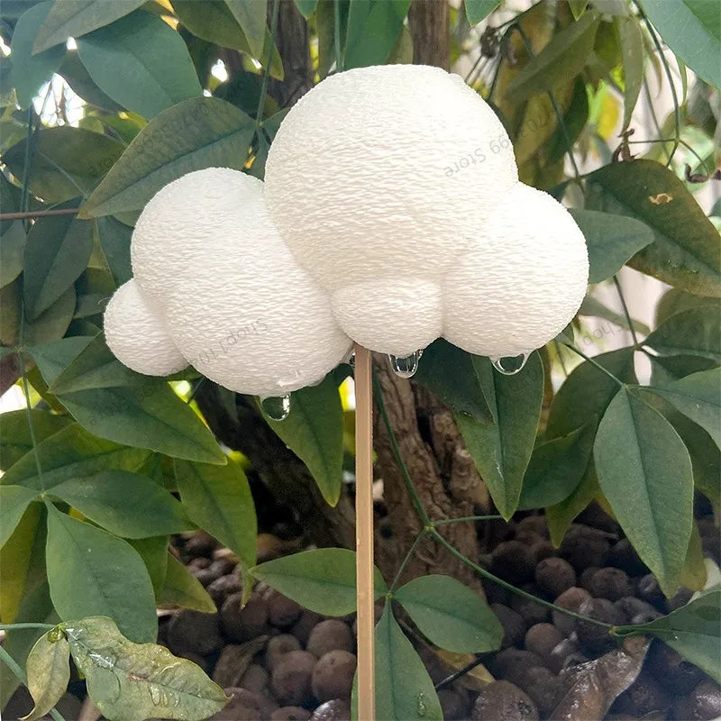Cute 3D Printed Cloud Dripping Rain Waterer-Aesthetic Houseplant Watering Spike, Creative Flower Pot Decoration for Indoor Plant